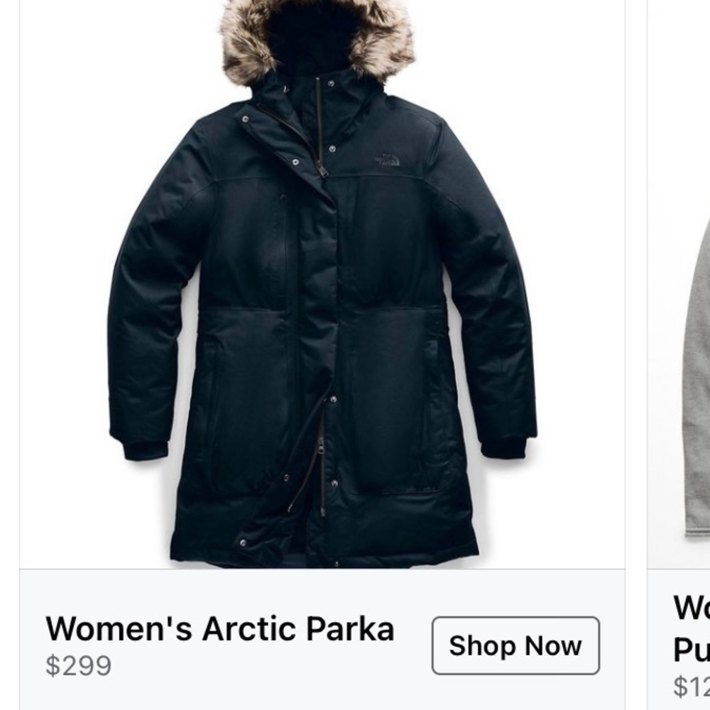 North Face Artic Parka II